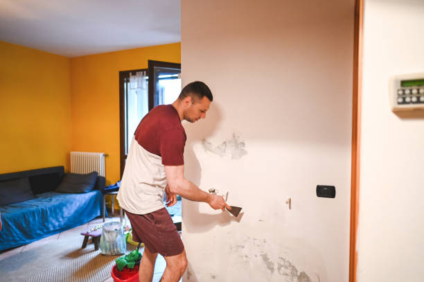 Trusted Philo, IL Mold Removal Experts